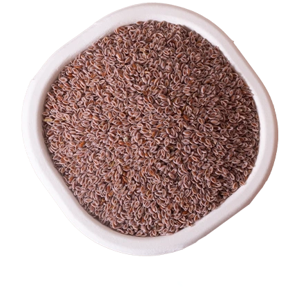 Psyllium Seed