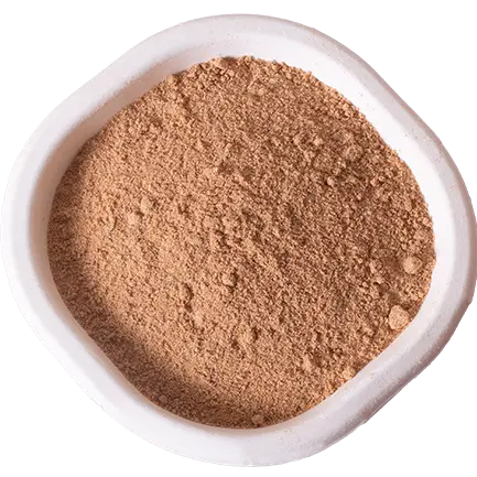 India’s premium psyllium manufacturer for global buyers.